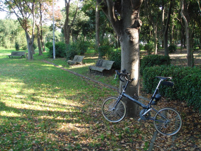 c0009224_17211946.jpg