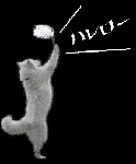 e0024126_21575032.gif