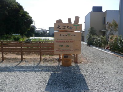 d0004728_8105195.jpg