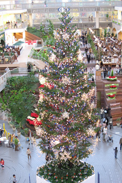 c0024729_22441230.jpg
