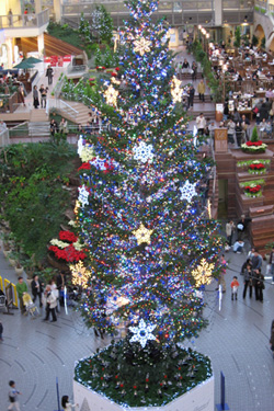 c0024729_22444545.jpg