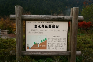 d0055236_2324540.jpg