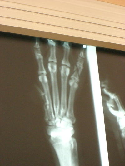 f0094843_22183930.jpg
