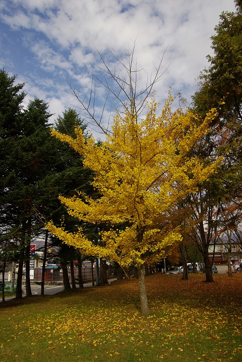 軽井沢の街は紅葉でいっぱい_e0000746_19462877.jpg