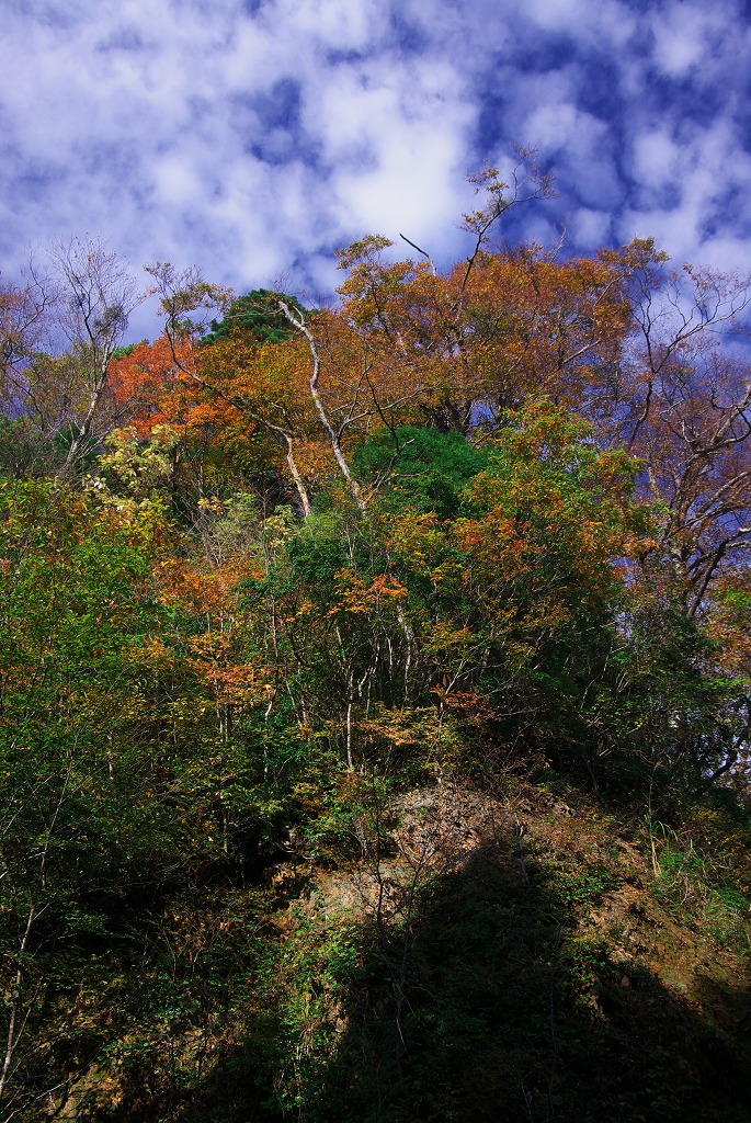 秋空と山の彩り_f0155048_23343336.jpg