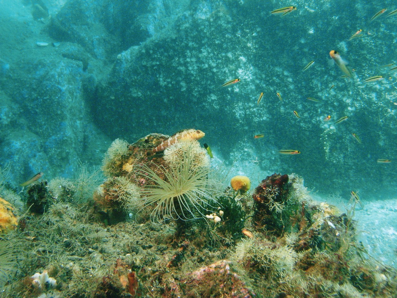 c0145750_12455273.jpg