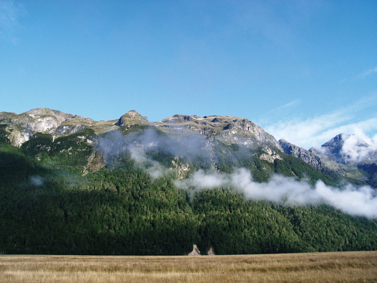 c0145750_1284271.jpg