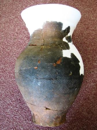 市原市域の弥生土器Ⅹ ちょっと不思議な土器アラカルト : やちくりけん