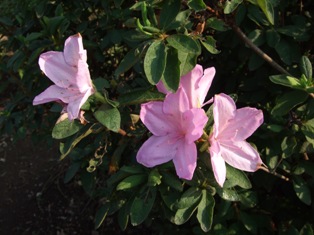 c0111557_2240431.jpg