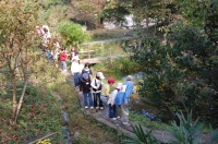 c0108460_21541048.jpg