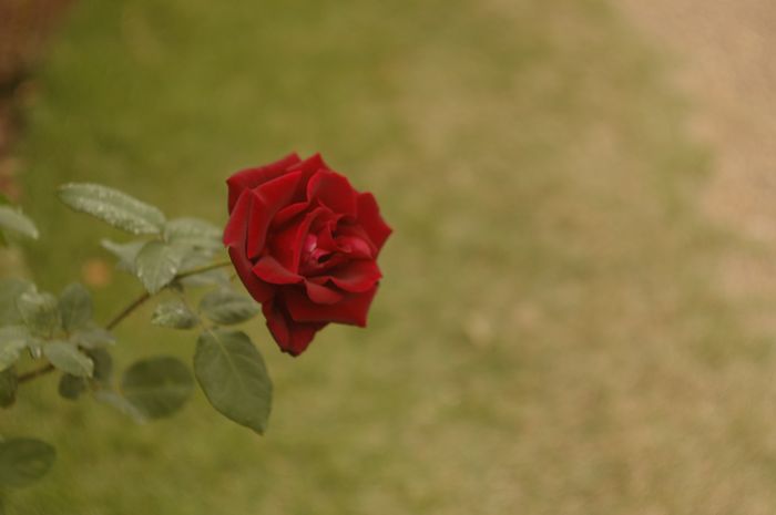 e0053660_0235763.jpg