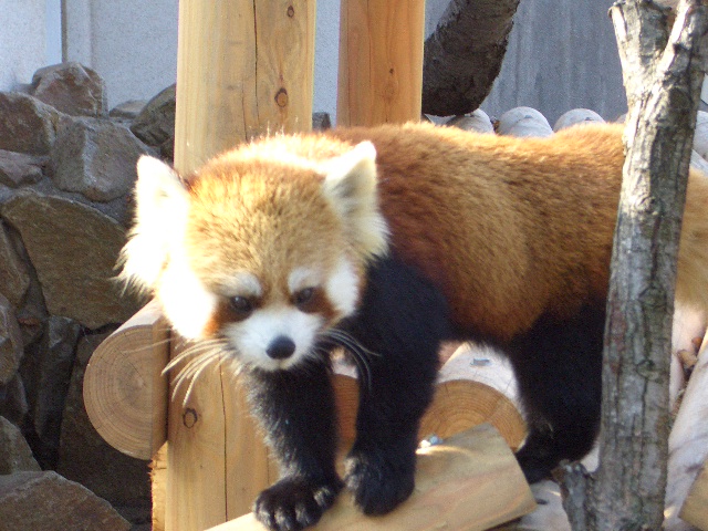 d0098665_17213224.jpg