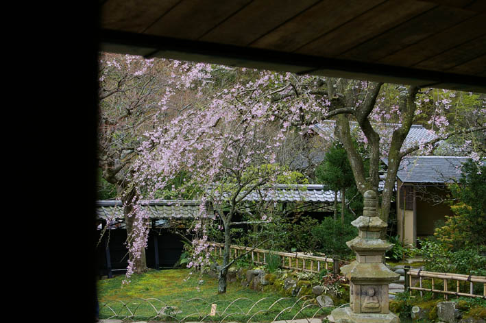 「寺沢希美ヴァイオリンコンサートin東慶寺」は満員札止め！_c0014967_8143644.jpg