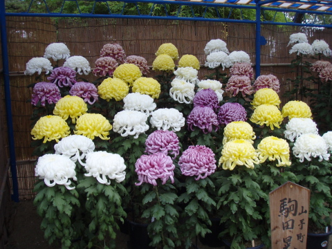 福山城_a0077071_15542080.jpg