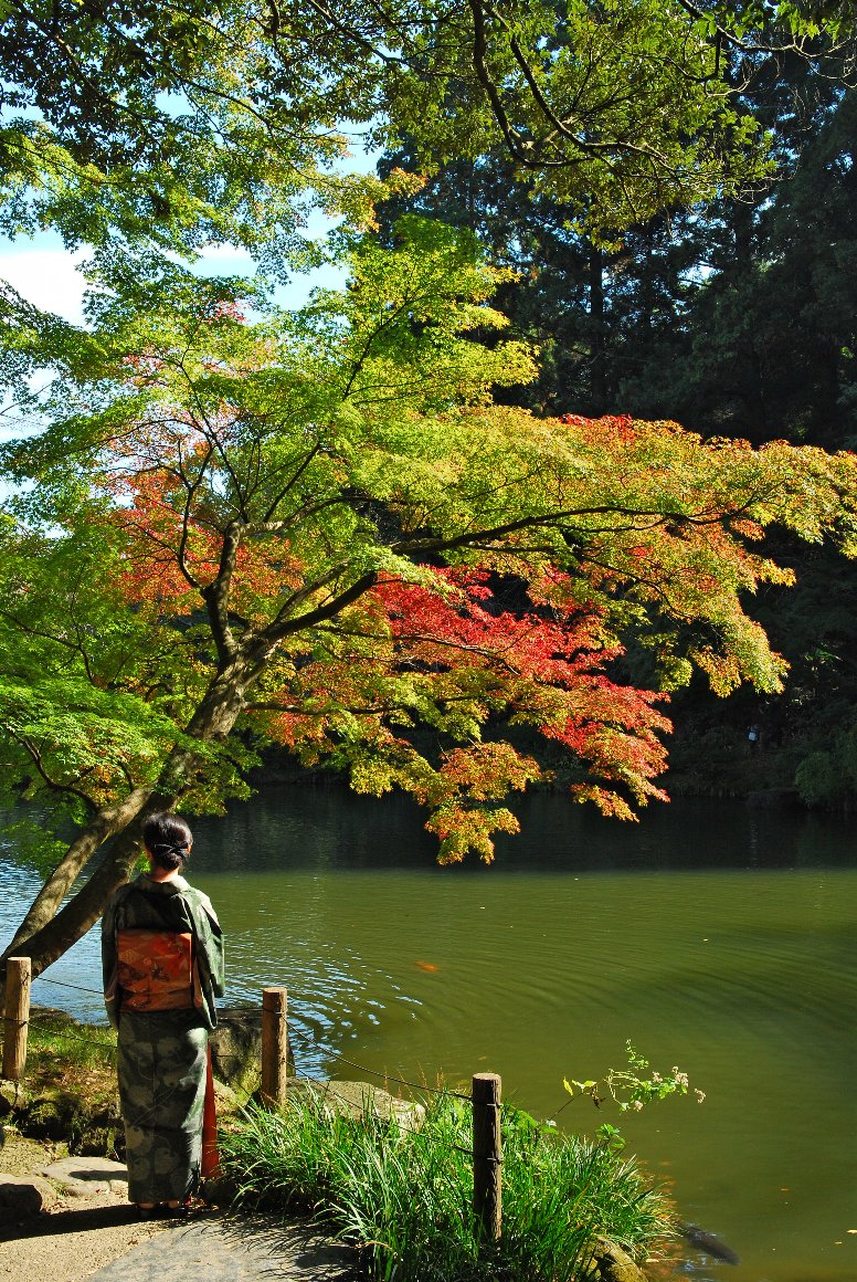 千葉県の紅葉は、まだまだ、これから…_e0071178_511965.jpg