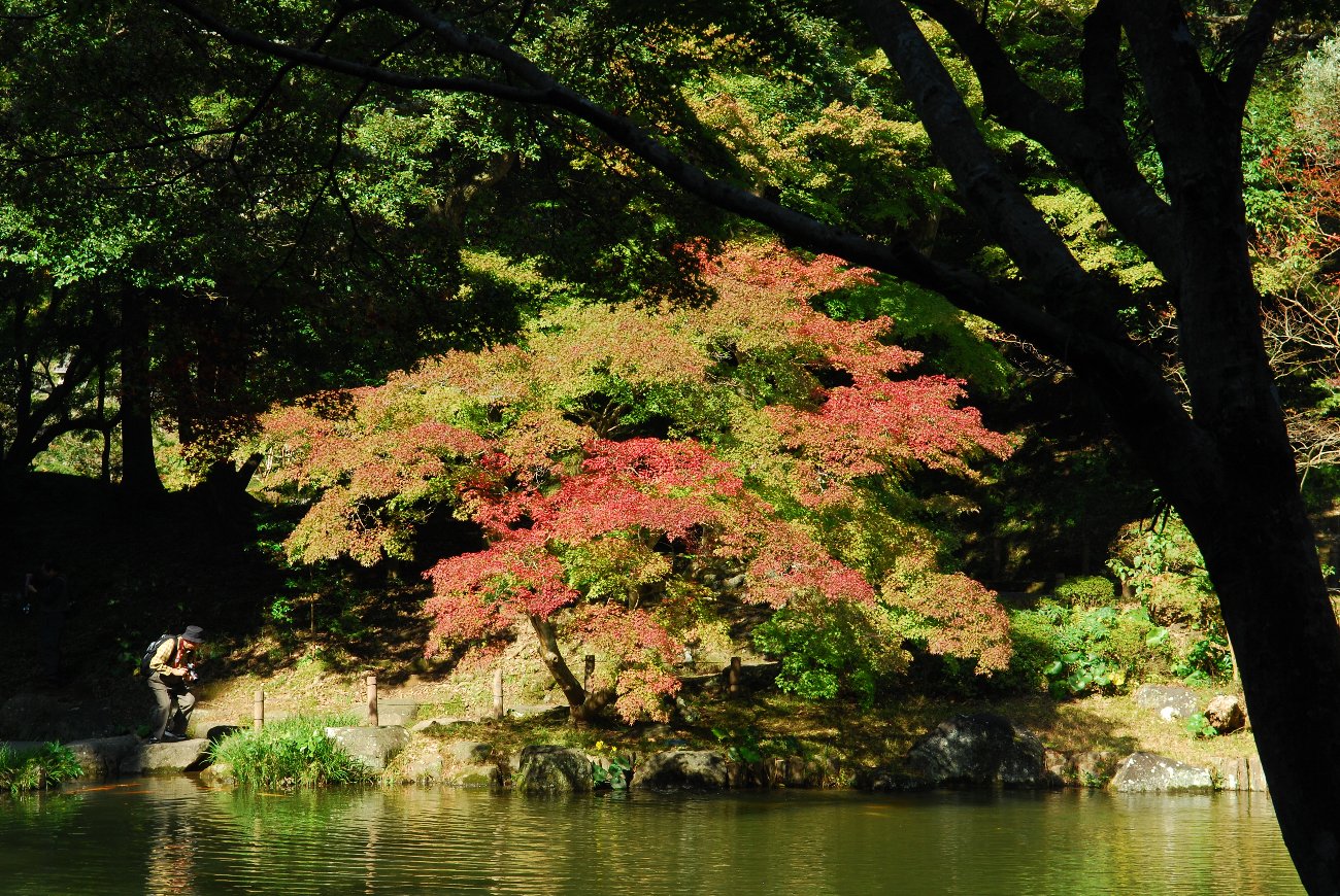 千葉県の紅葉は、まだまだ、これから…_e0071178_532872.jpg