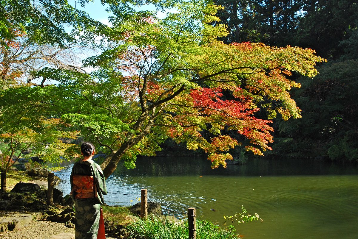 千葉県の紅葉は、まだまだ、これから…_e0071178_593366.jpg