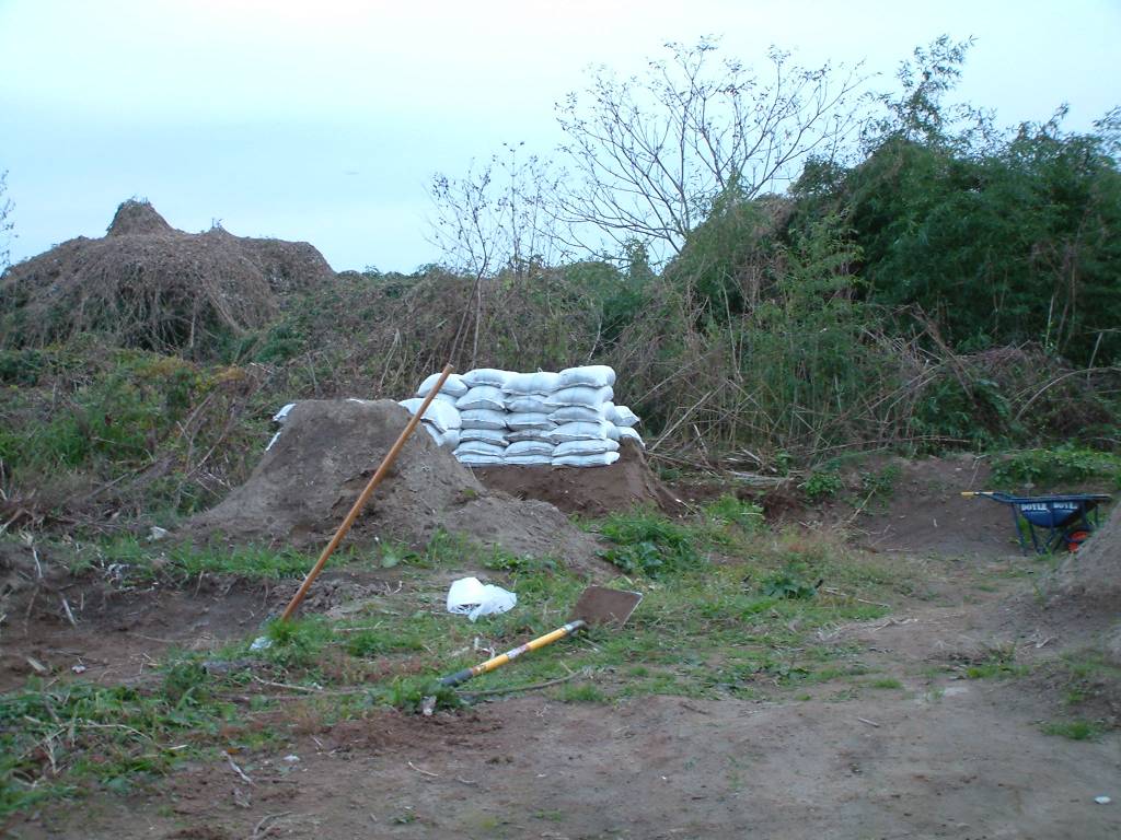d0105979_1214483.jpg