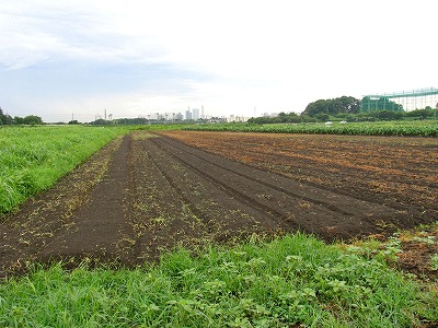c0145581_8235136.jpg