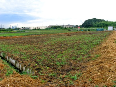 c0145581_8241313.jpg