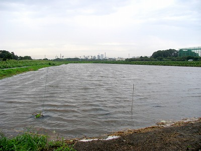 ９月６日の台風９号の雨で畑冠水_c0145581_901479.jpg