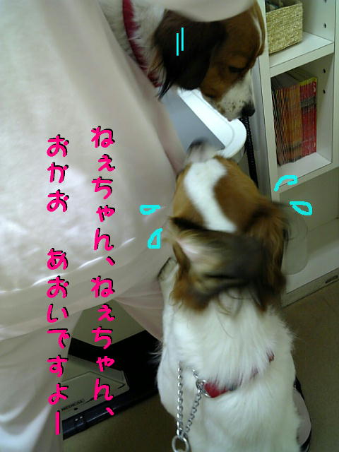 c0075585_1233569.jpg