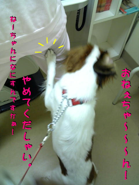 c0075585_1241266.jpg