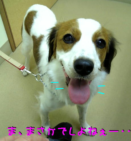 c0075585_1462498.jpg