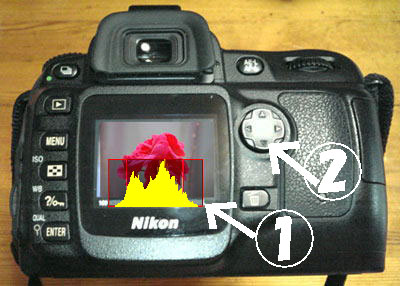 c0047589_86183.jpg