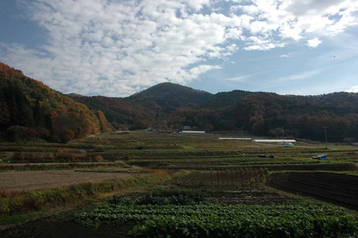 c0000391_10264527.jpg