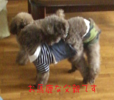 e0013900_15502032.jpg