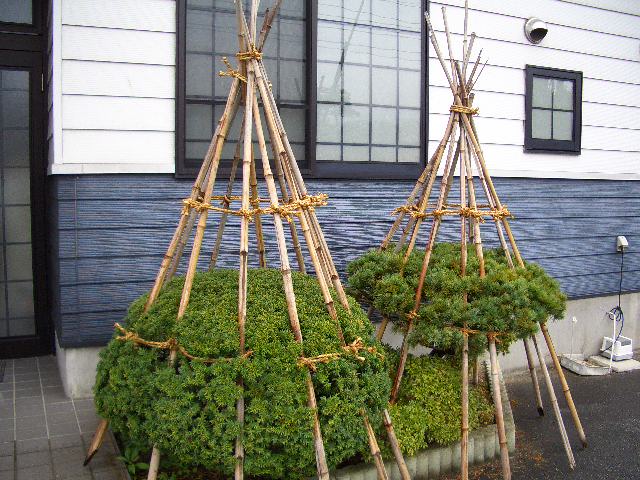 f0051403_12272395.jpg