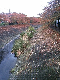 f0055706_18383416.jpg