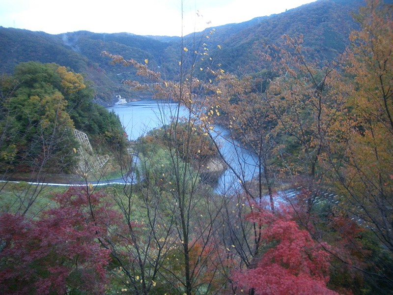 e0001907_2350434.jpg