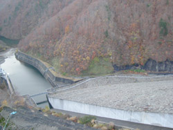 a0031714_1445946.jpg