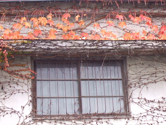 f0143119_19103783.jpg