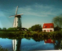 f0083021_1125676.jpg