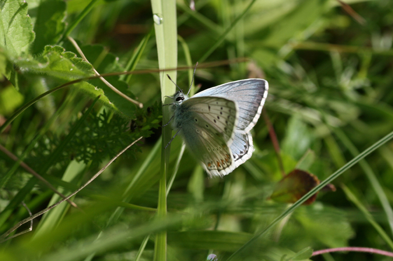 d0054625_12595197.jpg