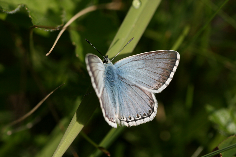 d0054625_130544.jpg