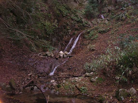 c0029332_22582282.jpg