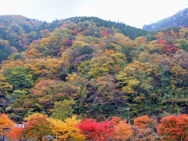 c0141933_21371119.jpg