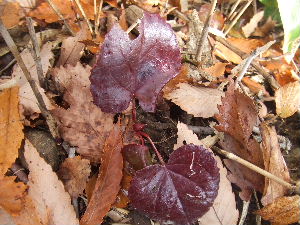 a0054240_22164139.jpg