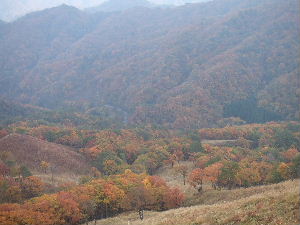 a0054240_2340499.jpg