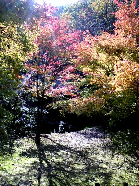 b0057140_22265952.jpg