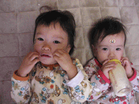 f0044043_20542859.gif