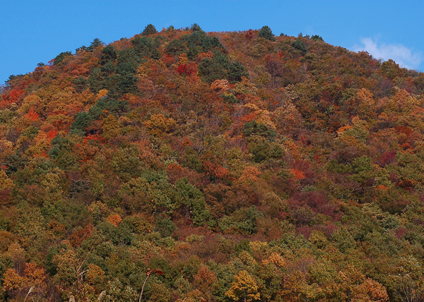 f0086944_10214457.jpg