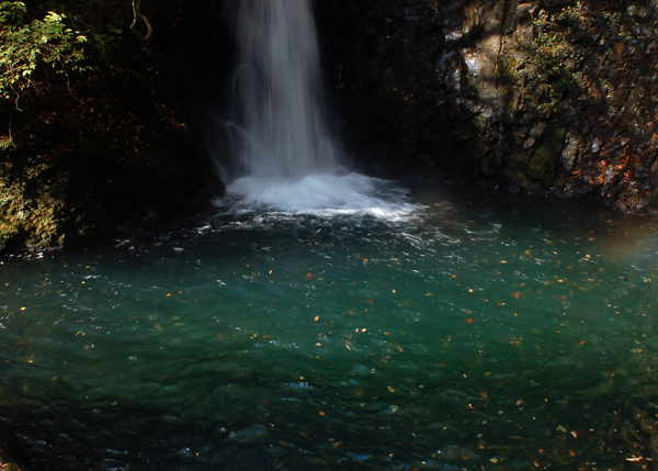 f0086944_10221342.jpg