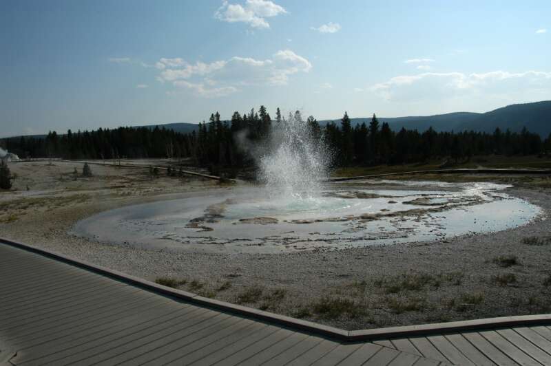 e0043548_23232088.jpg