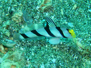 d0058549_228298.jpg