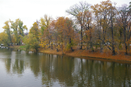 f0077150_22125127.gif